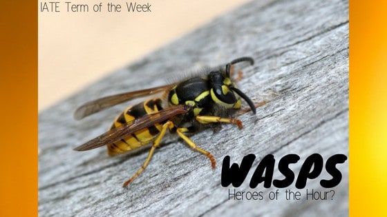 IATE Term of the Week: Wasps