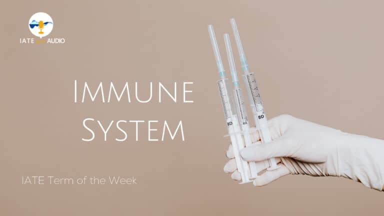 IATE Term of the Week Immune System with Audio
